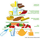 Die Ernährungspyramiede unterteilt Nahrung in "Fette & Öle, Süssigkeiten" "Milch & Fleischprodukte, Eier, Nüsse und Hülsenfrüchte" "Getreide und Kartoffeln" "Obst & Gemüse" sowie Getränke